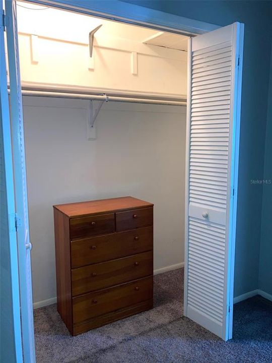 Wall closet in bedroom.  Dresser included.