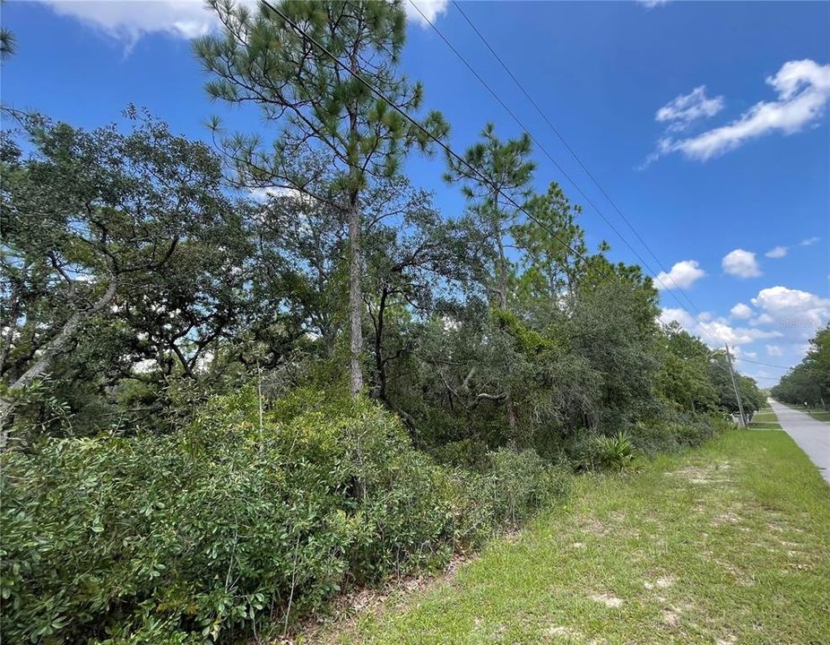 Active With Contract: $69,900 (1.25 acres)