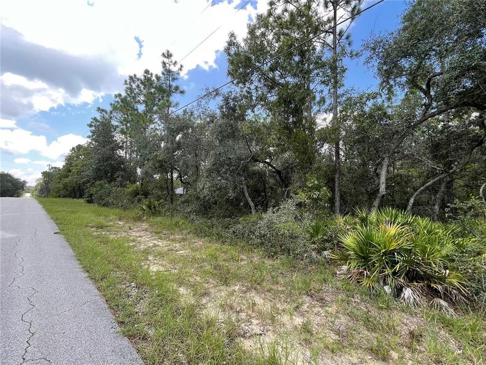 Active With Contract: $69,900 (1.25 acres)