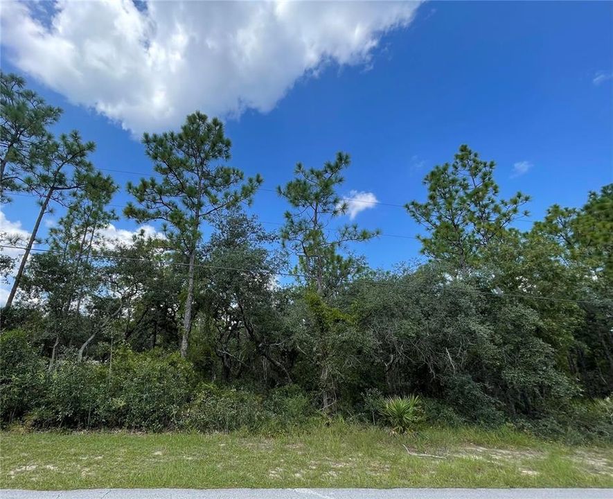 Active With Contract: $69,900 (1.25 acres)