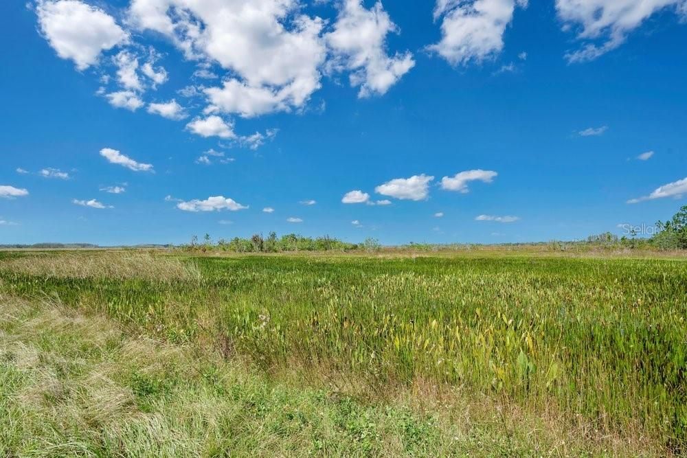 For Sale: $431,250 (37.30 acres)