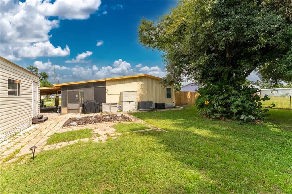 Large, fenced backyard with plenty of shade!