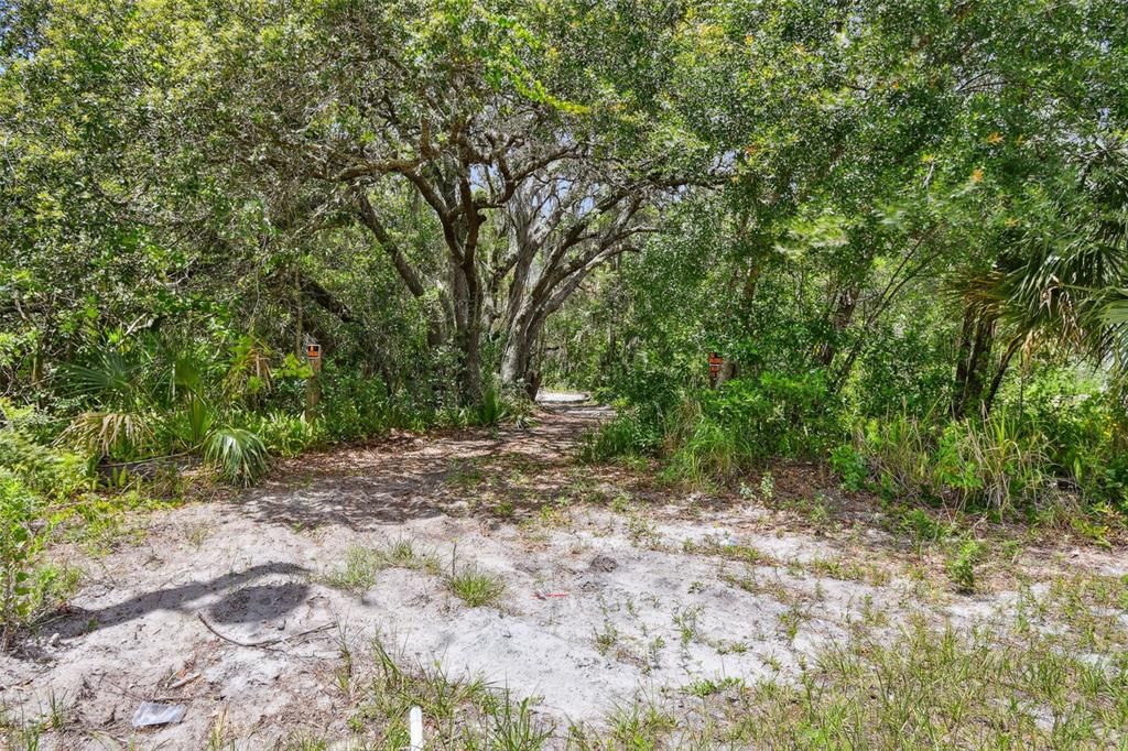 For Sale: $499,000 (1.32 acres)