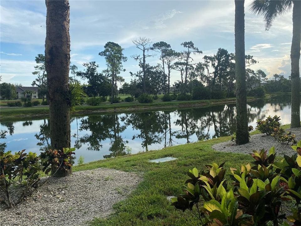 View from your back lanai!