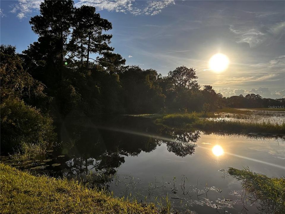 It is not pondfront, but this is what the pond looks like behind the neighborhing parcel.