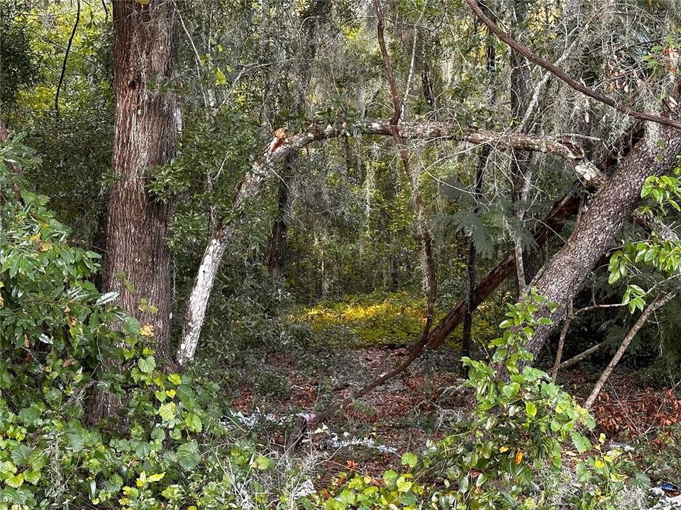 На продажу: $30,000 (0.28 acres)