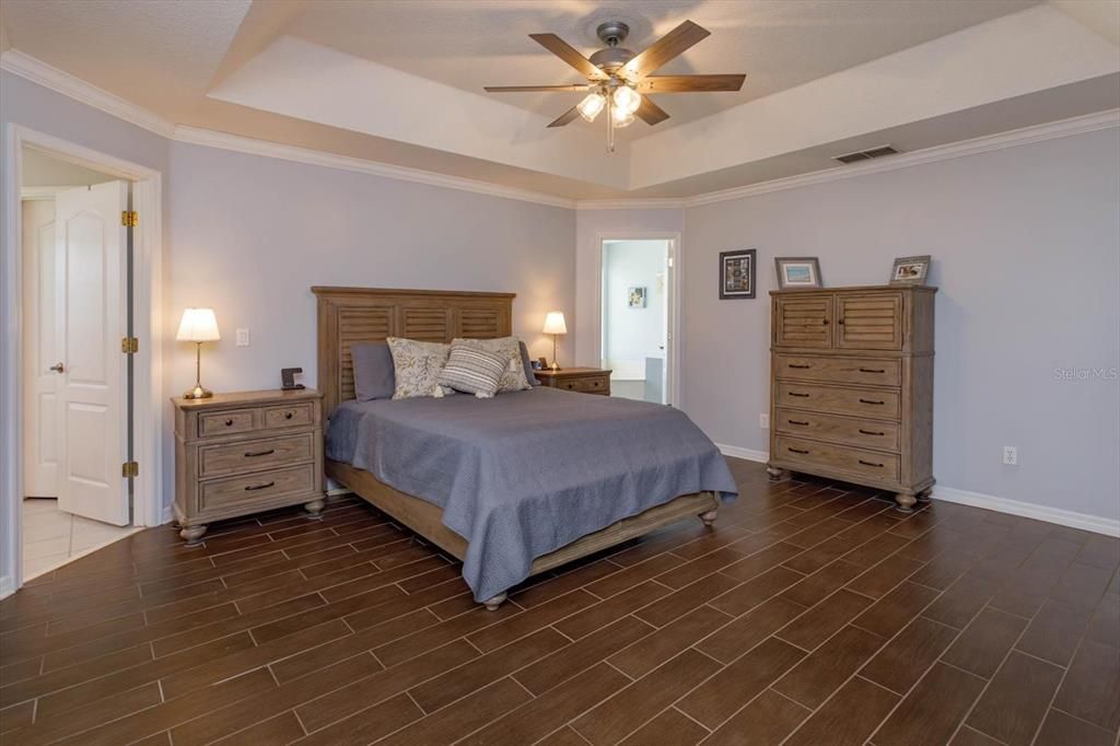 Primary bedroom with tray ceiling