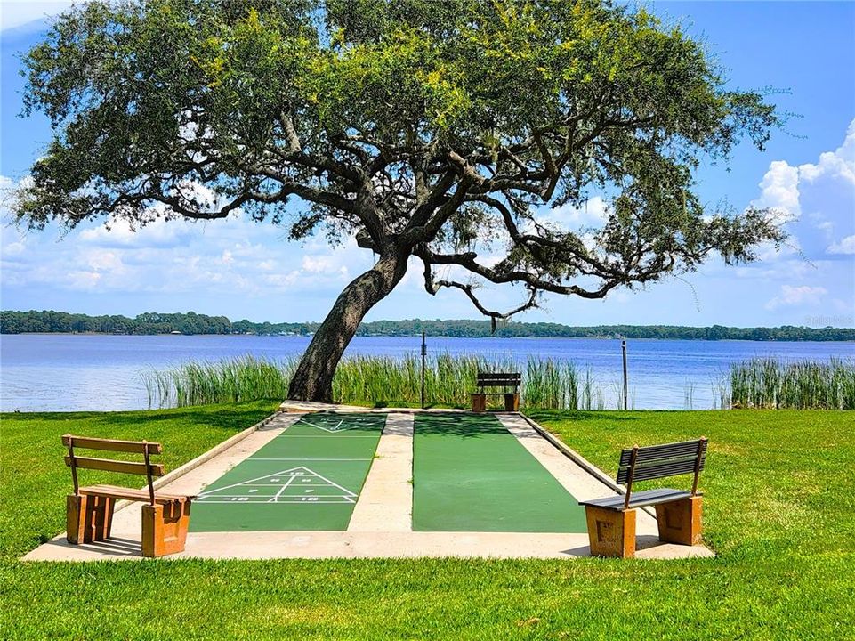 Shuffleboard by the Lake