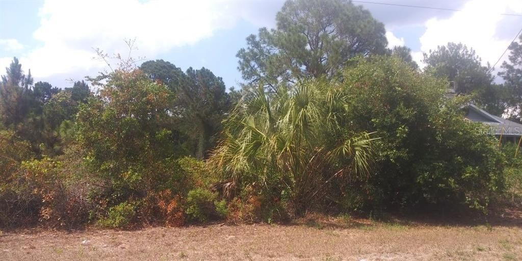 Active With Contract: $19,000 (0.24 acres)