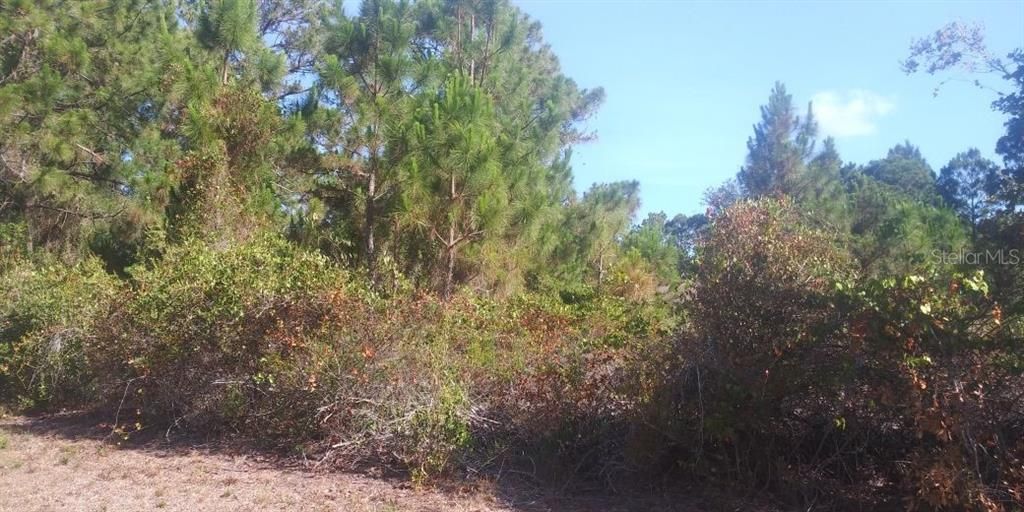 Active With Contract: $19,000 (0.24 acres)