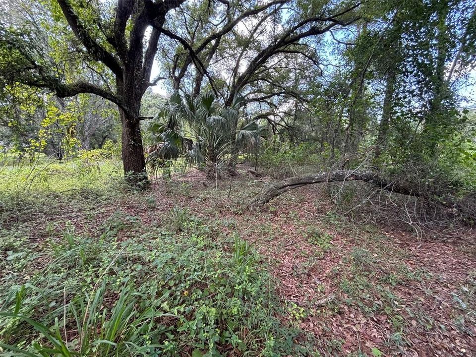 En Venta: $109,000 (3.52 acres)