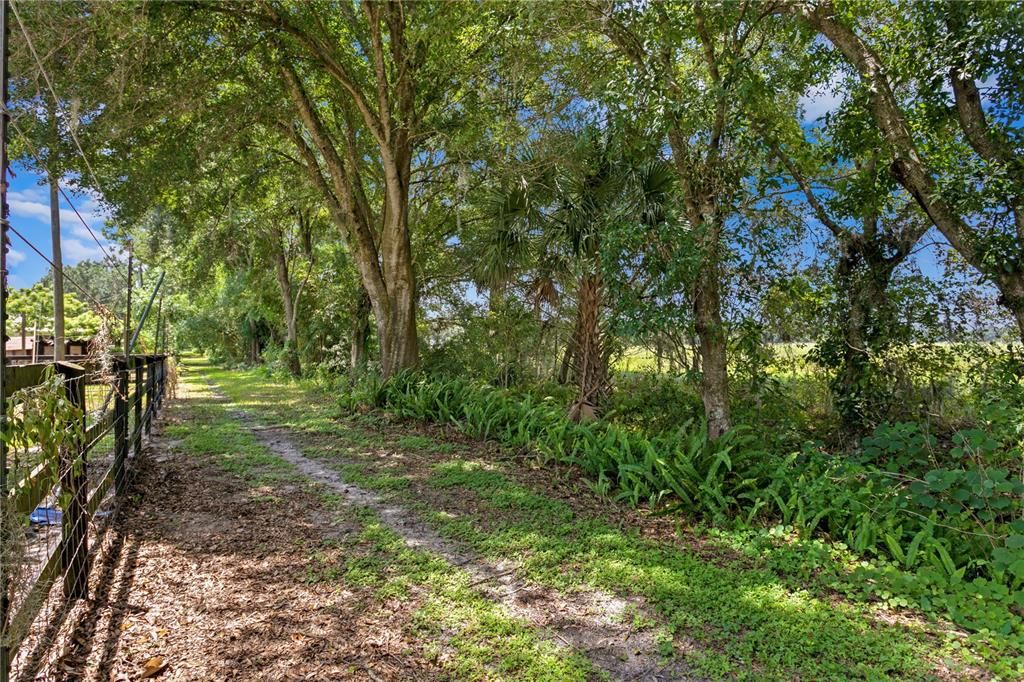 Bridle Path around Innfields