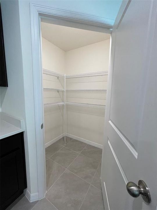 Walk-in Kitchen Pantry