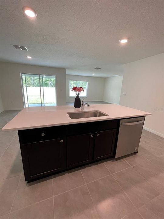 Kitchen with Quartz Countertops