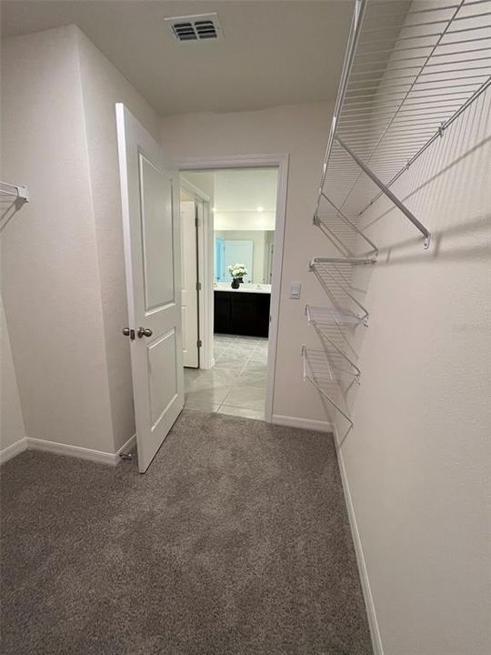 Walk-in Closet