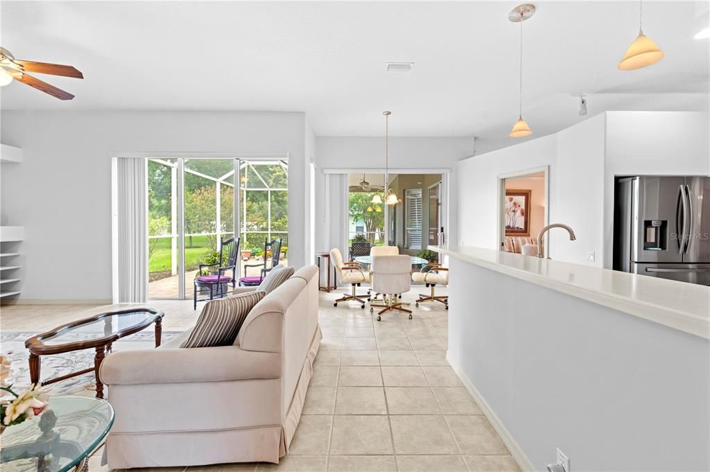 Kitchen, Nook and Family Room View