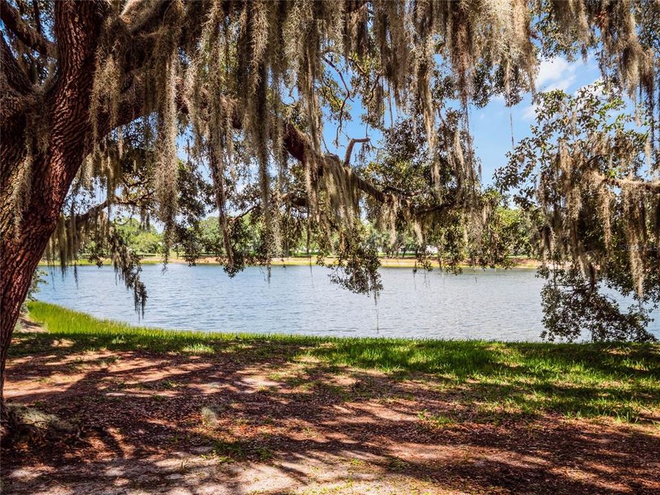 partial view of Lake Evert; one of four, catch & release fishing lakes within the community.