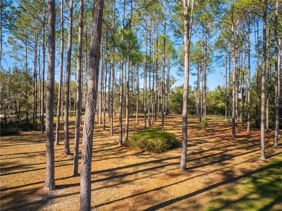 Под контрактом: $285,000 (3.05 acres)