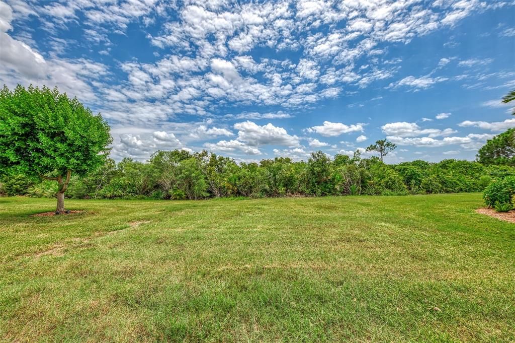 The porch/lanai overlooks the preserve and there is ample room for a pool and spa if you want to add that.