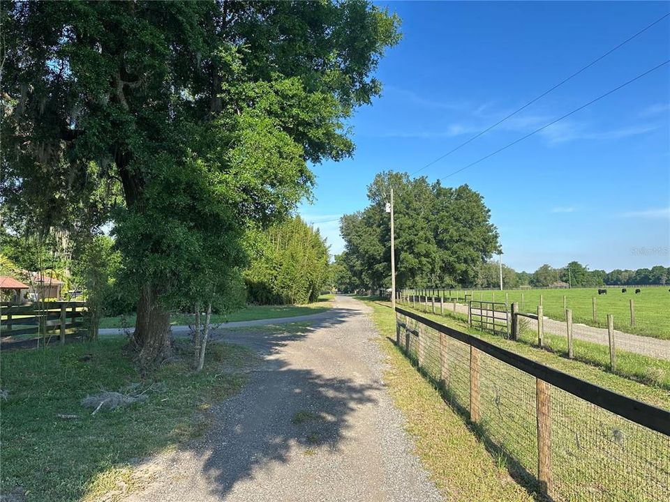 For Sale: $1,150,000 (4 beds, 2 baths, 1957 Square Feet)