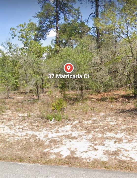 En Venta: $32,000 (0.30 acres)