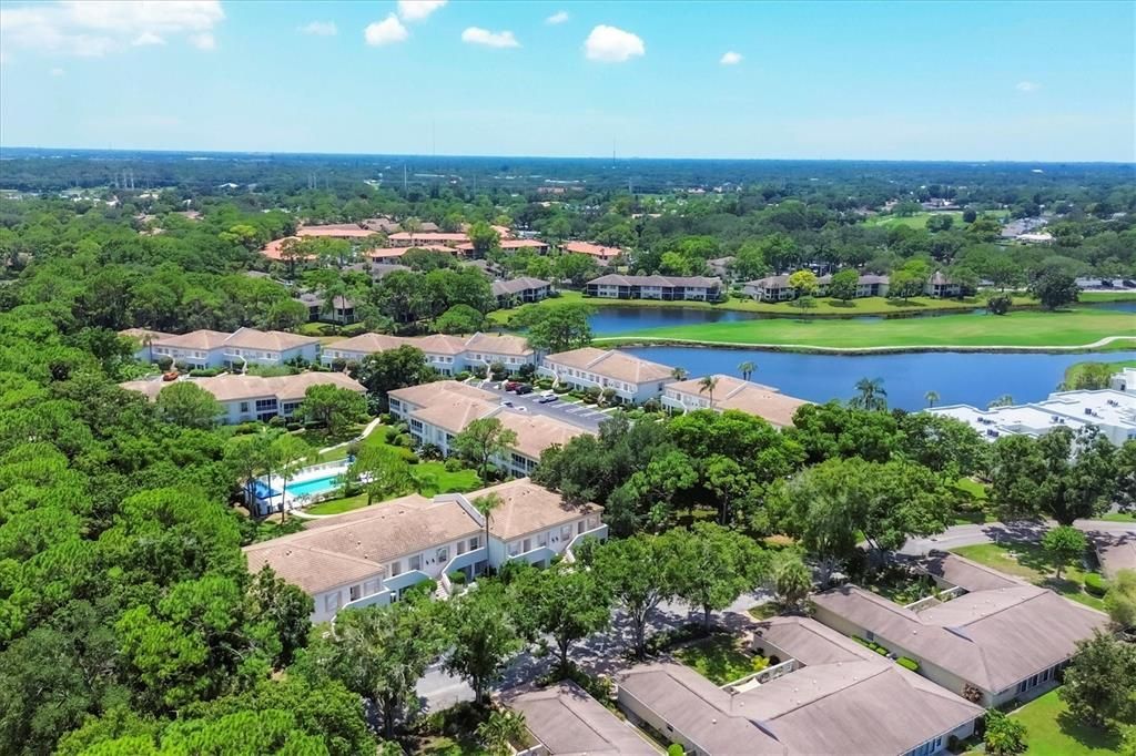 Aerial of Wedgewood Lake