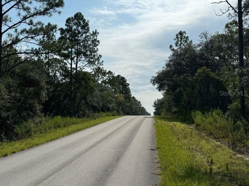 Looking East Up  Neptune Blvd from Property