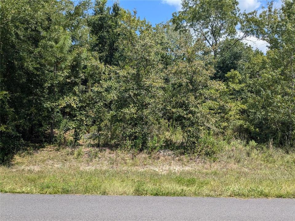 Active With Contract: $58,000 (0.33 acres)