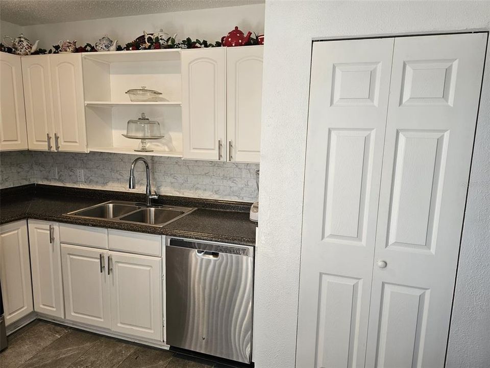 Kitchen sink area and pantry