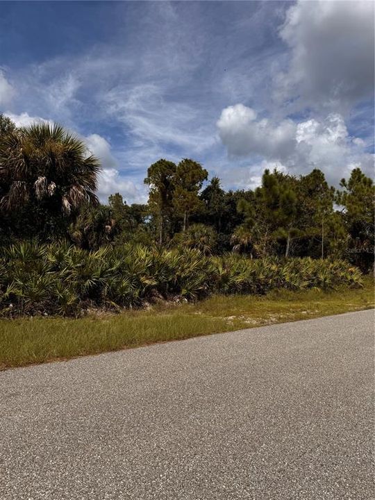 Active With Contract: $16,900 (0.23 acres)