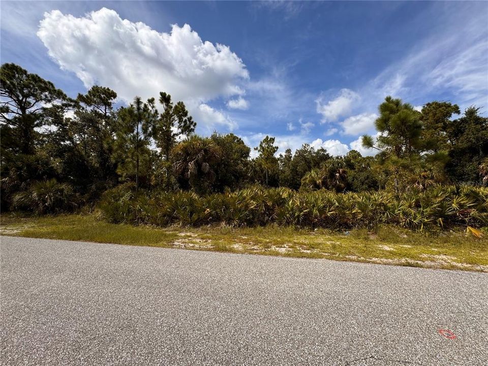 Active With Contract: $16,900 (0.23 acres)