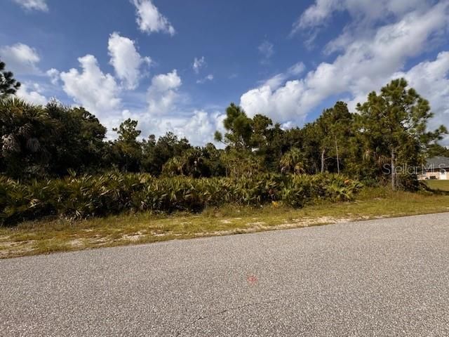 Active With Contract: $16,900 (0.23 acres)