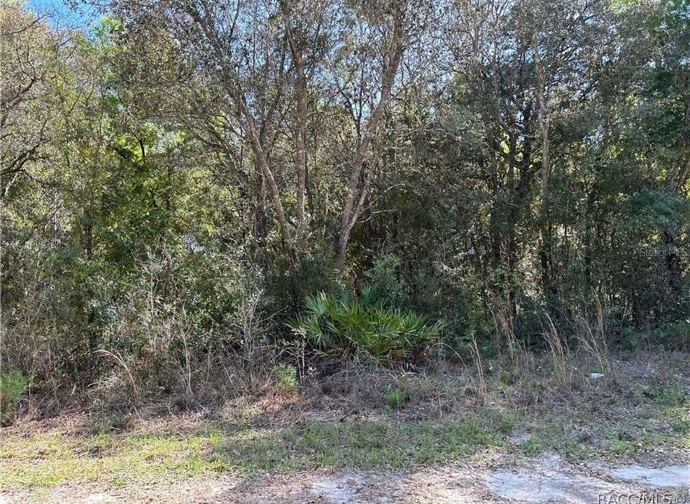 En Venta: $29,000 (0.84 acres)