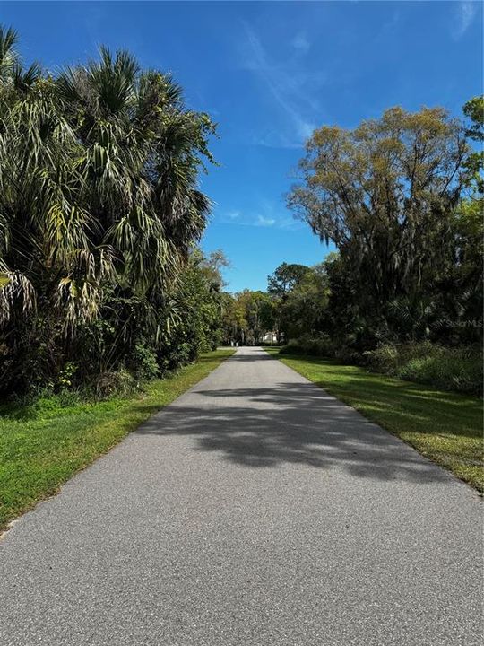 Road to boat ramp