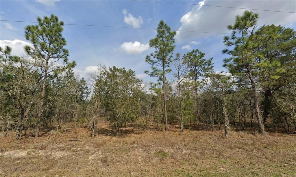 Active With Contract: $45,999 (1.12 acres)