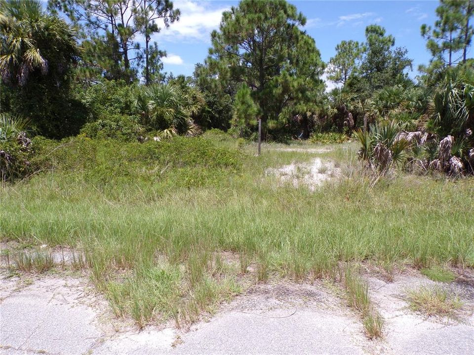 For Sale: $41,990 (0.31 acres)