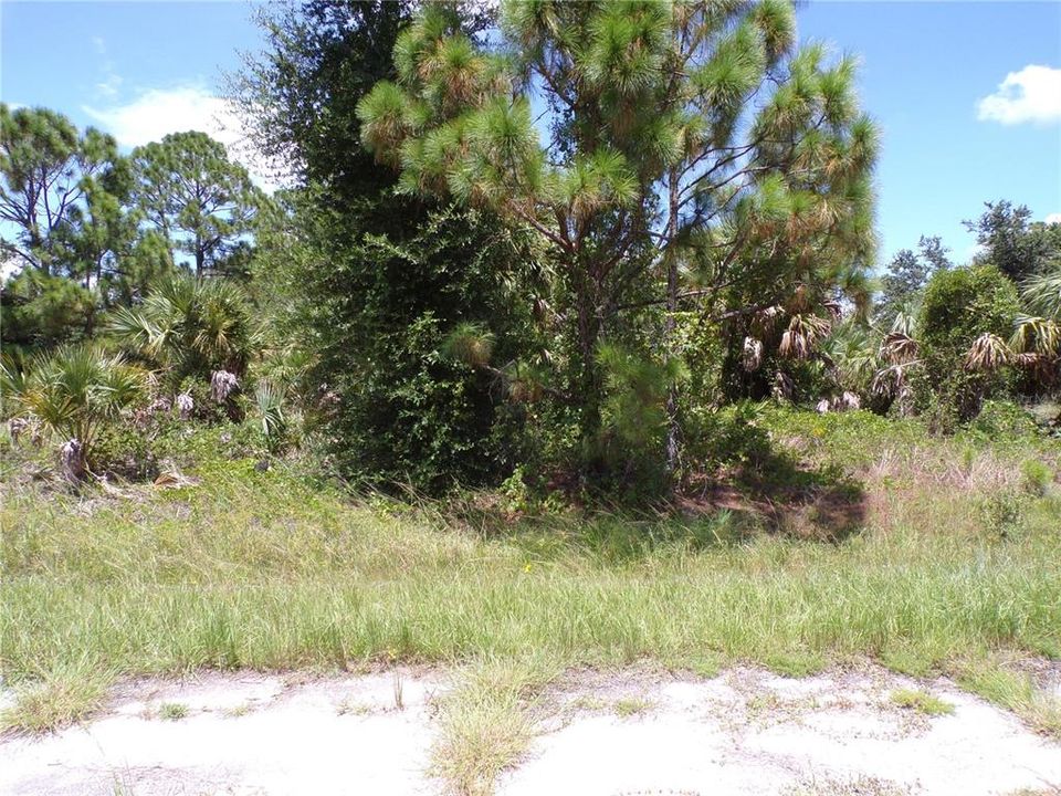 En Venta: $41,990 (0.31 acres)