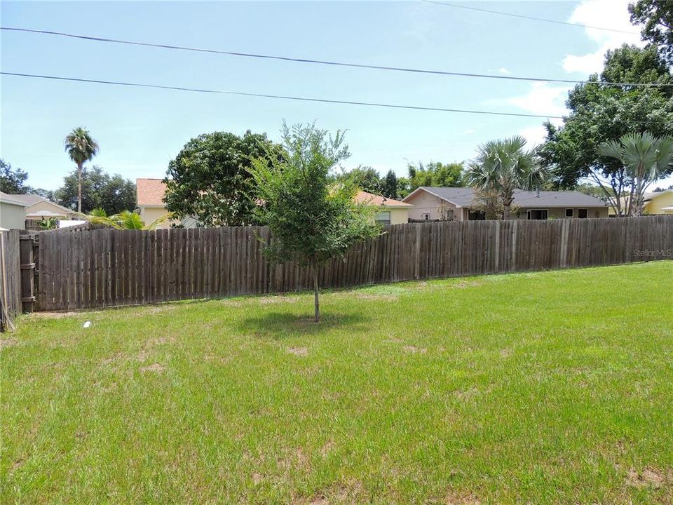 Fenced Back Yard