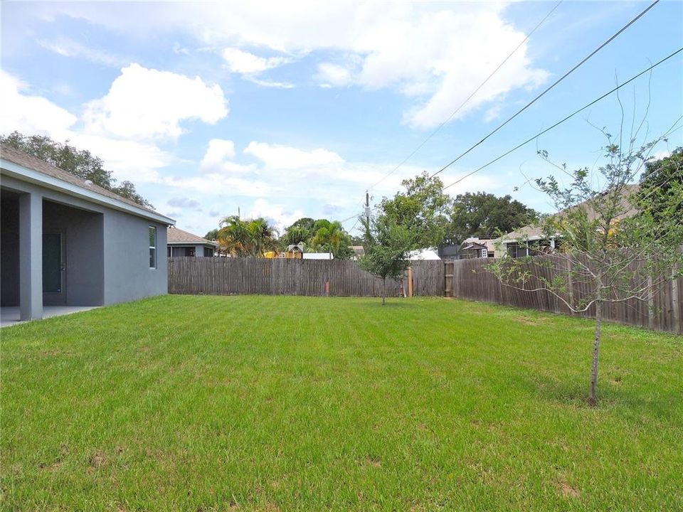 Fenced Back Yard