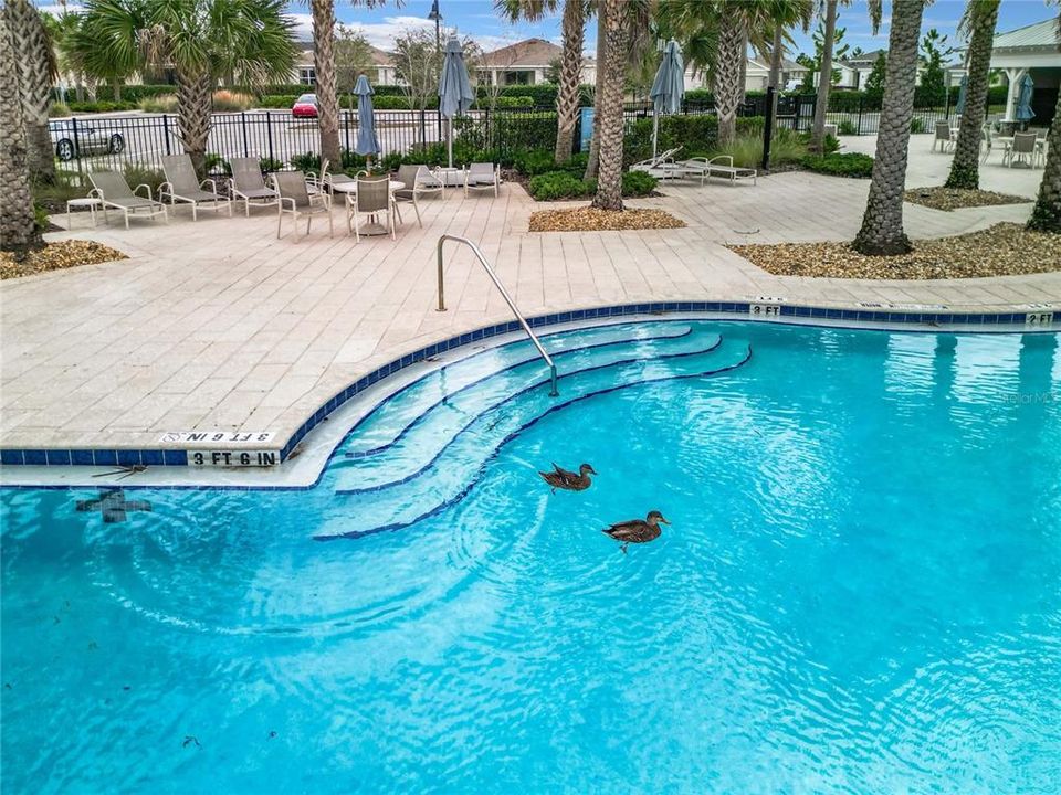 Saltwater Year-round Heated Pool