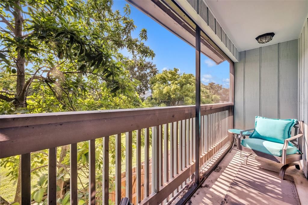 Master bedroom Balcony with full view of towering mature Avocado Tree