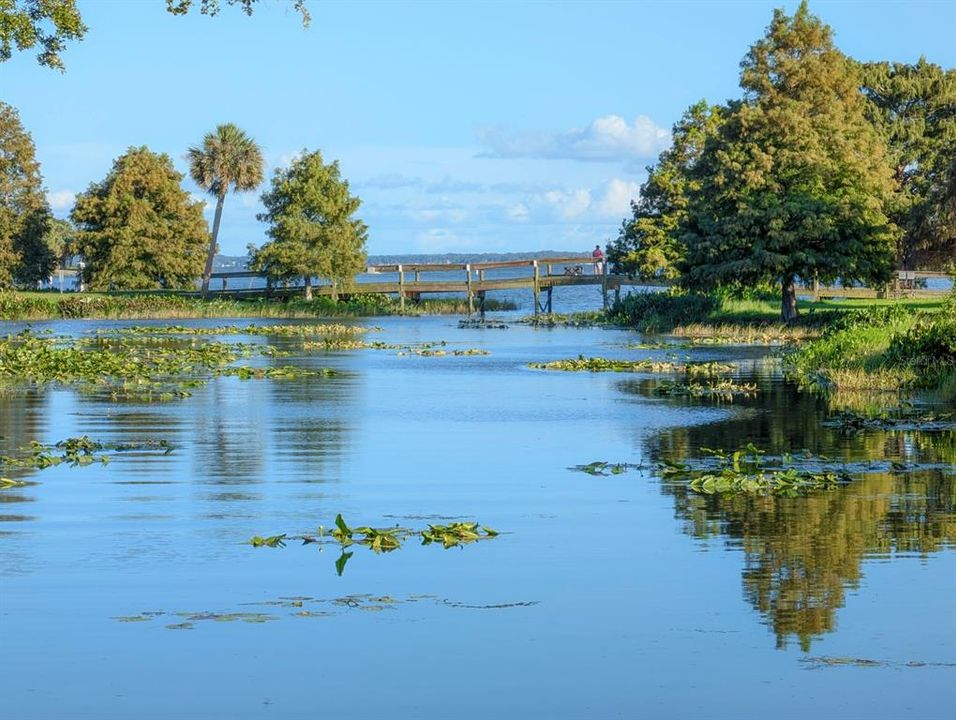 Lake Griffin State Park has picnic areas and camping area available.