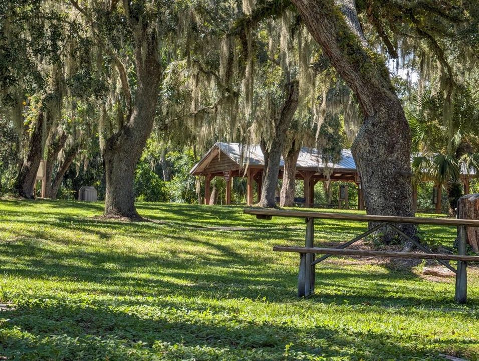 Lake Griffin State Park has picnic areas and camping area available.