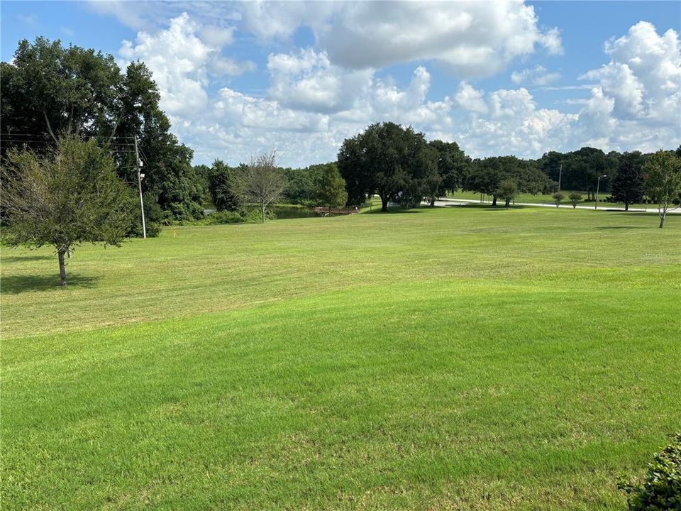 Green space and pond view