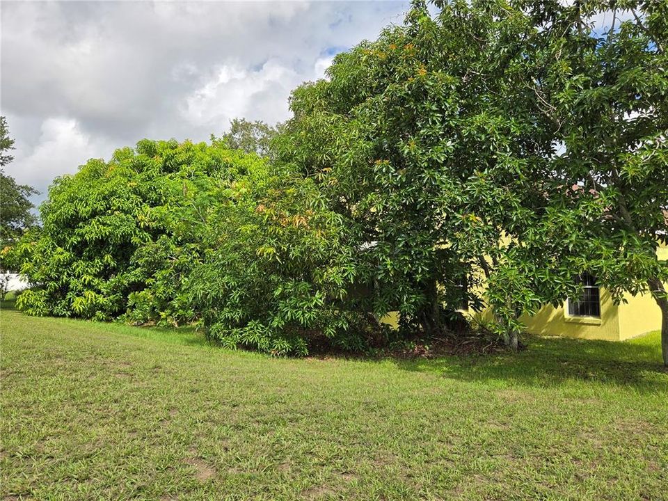 Back of property is tree lined - lots of privacy