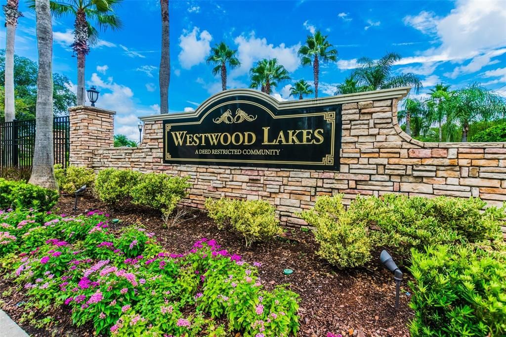 Westwood Lakes Subdivision located near Westchase and in all A rated school districts