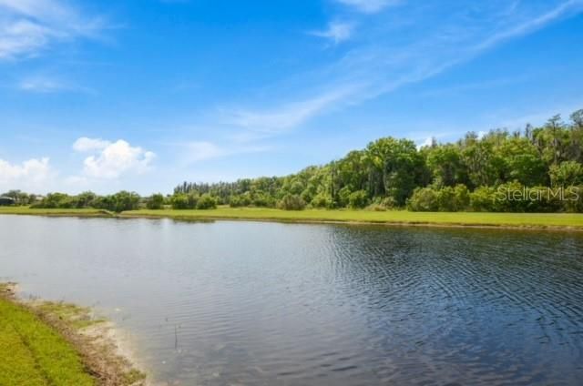 BEAUTIFUL LANDSCAPE WITH SERENE LAKE VIEW