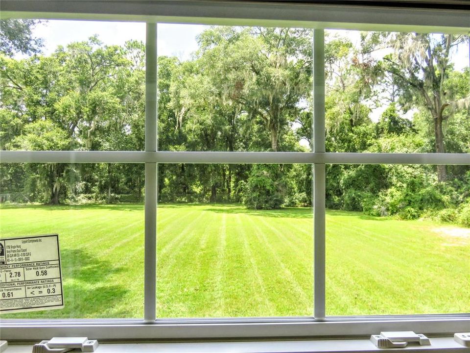 Kitchen window view