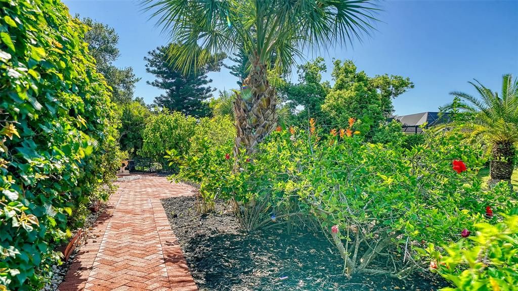 Tropical Fruit Trees & Flowers