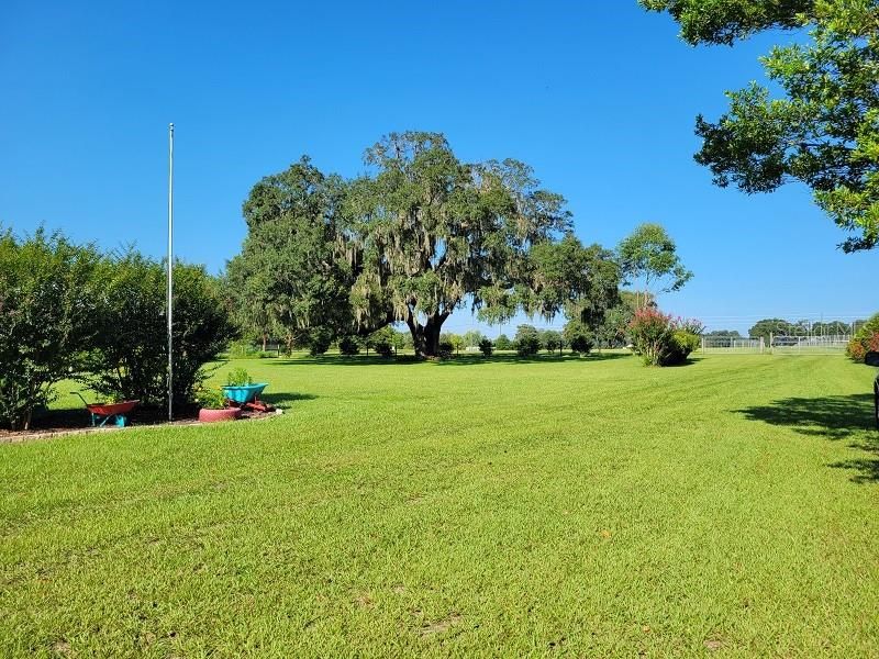 Front yard/side